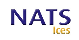 Ice Cream Van Hire from Nat's Ices